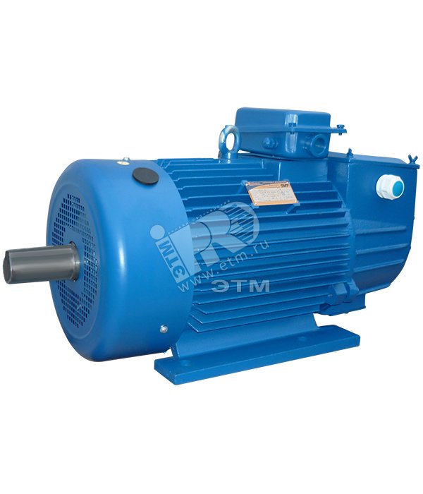 Изображение товара Электродвигатель крановый 5MTH 200 LA8 15/750 IM 1003 от Элком