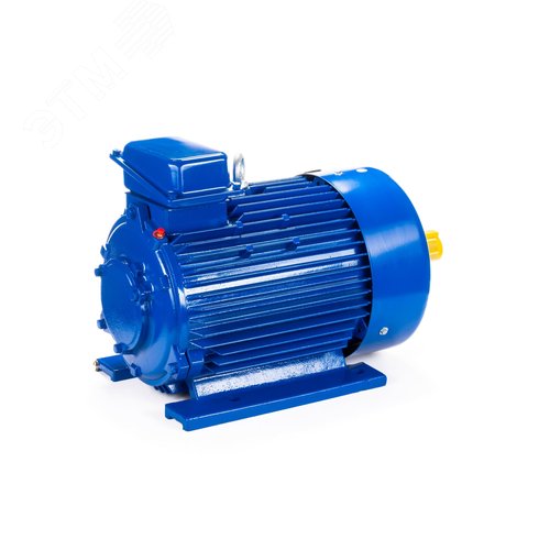 Двигатель 5МКТН АД 312-6 IM 1001 15/1000 - фото 6