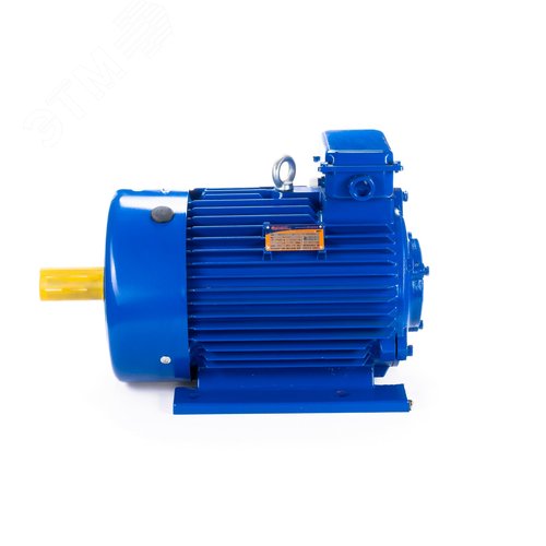 Двигатель 5МКТН АД 312-6 IM 1001 15/1000 - фото 10