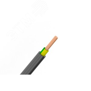 Кабель силовой ВВГнг(А)-LS 1х2.5 желто зеленыйТРТС
