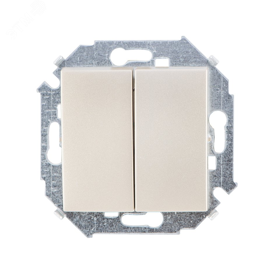 Изображение товара Выключатель двухклавишный проходной (переключатель), 16А, 250В, винтовой зажим, шампань (шт)