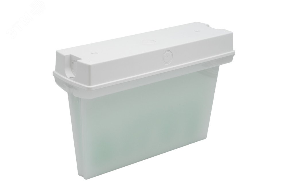 Изображение товара Светильник светодиодный аварийный ДСО-101-IP65 3Вт 3ч без пикт. двухсторонний (шт)