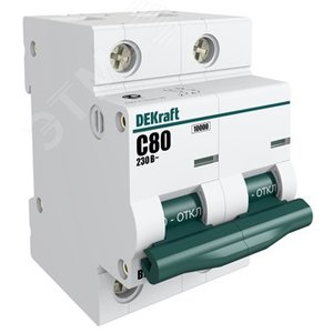 Выключатель автоматический двухполюсный 100А D ВА-201 10кА - фото 4