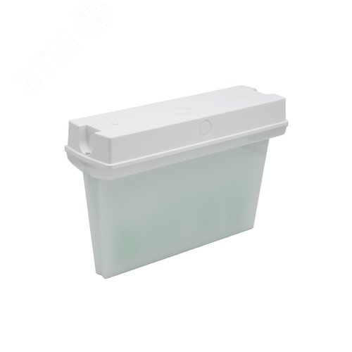 Изображение товара Светильник светодиодный аварийный ДСО-101-IP65 3Вт 3ч без пикт. двухсторонний (шт)