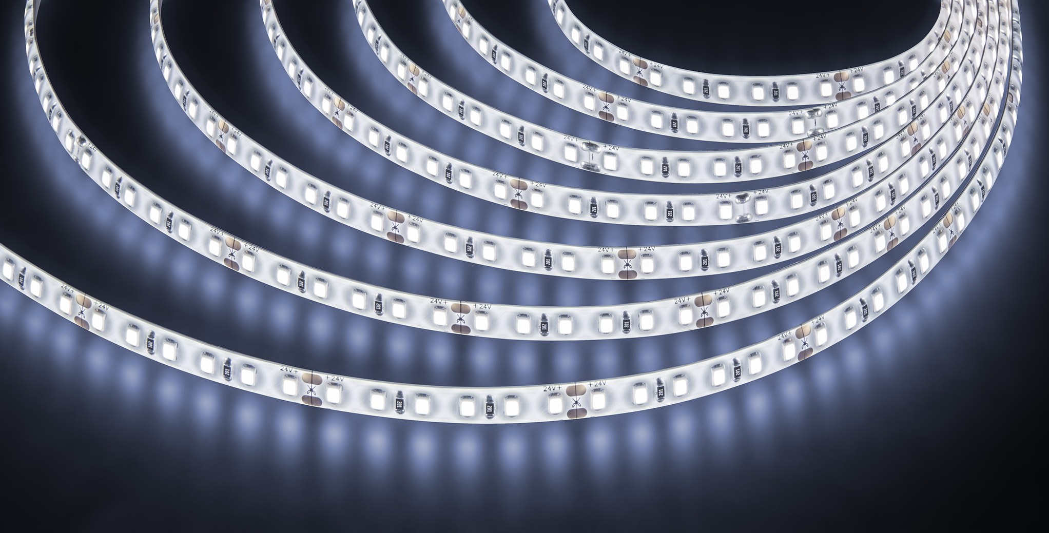 Лента светодиодная 9.6Вт/м 24В 6000К IP65 120LED/м NLS-2835 5м