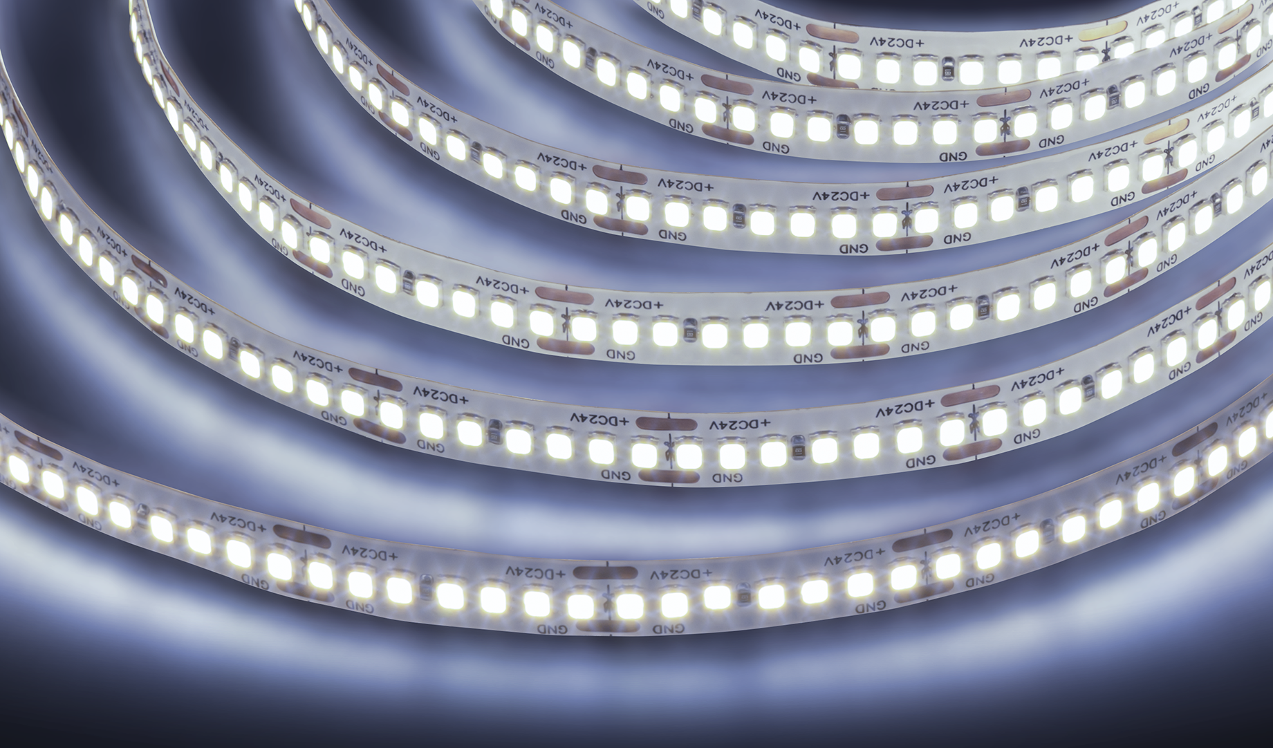 Лента светодиодная 18Вт/м 24В 6000К IP20 240LED/м NLS-2835 5м