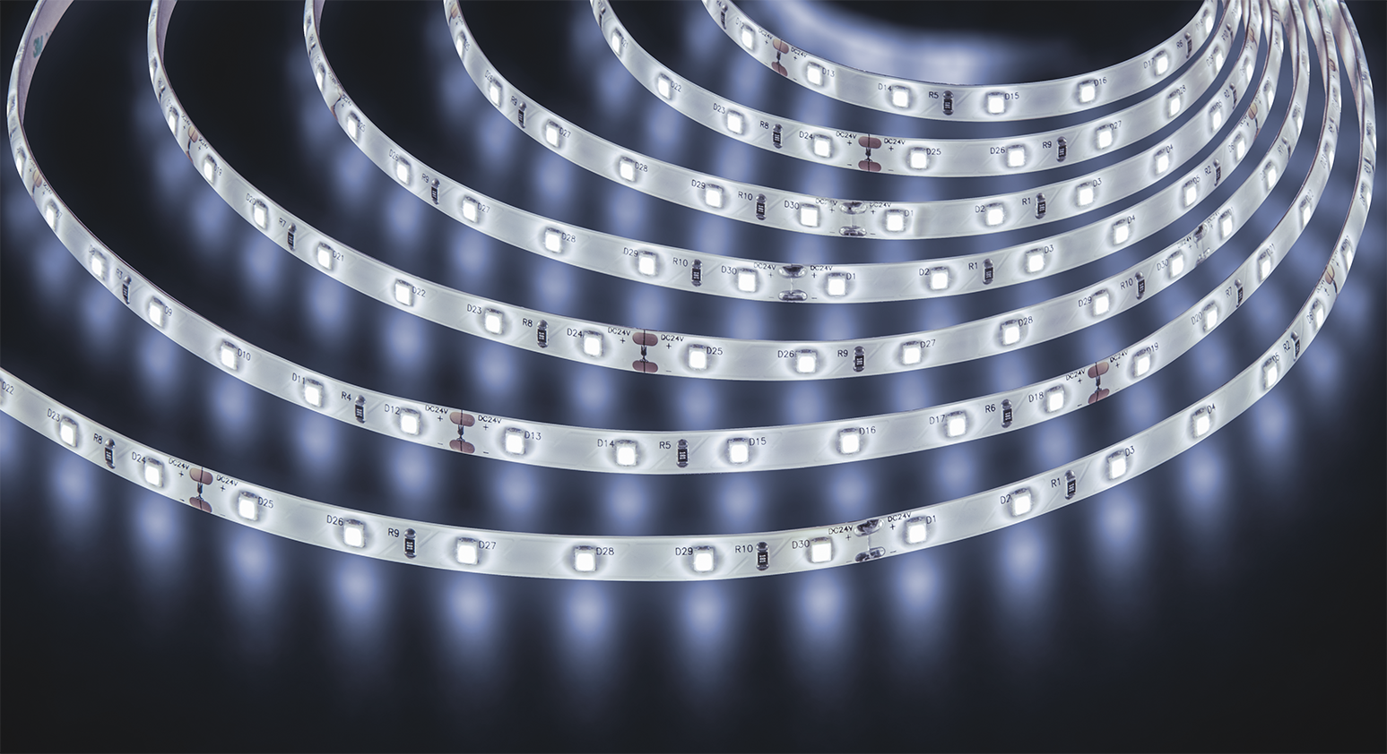 Лента светодиодная 4.8Вт/м 24В 6000К IP65 60LED/м NLS-2835 5м