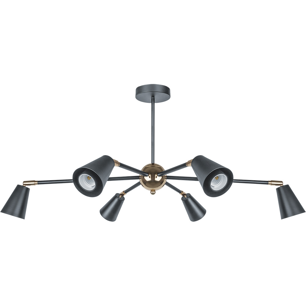 Светильник NLF-C-051-01 потолочный черный золото