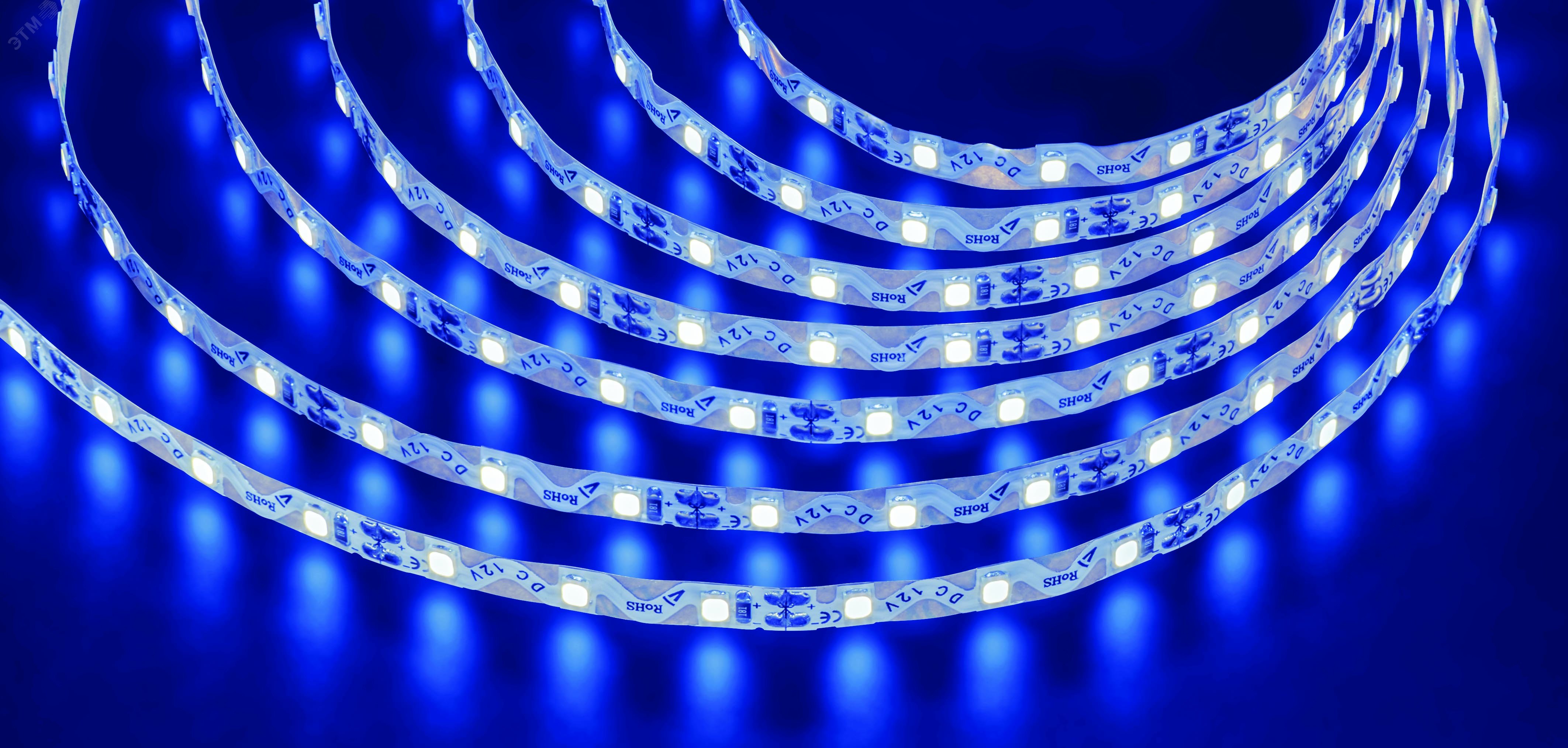 Изображение товара Светодиодная лента Navigator NLS-2835ST 12В 6Вт синяя IP20 5м