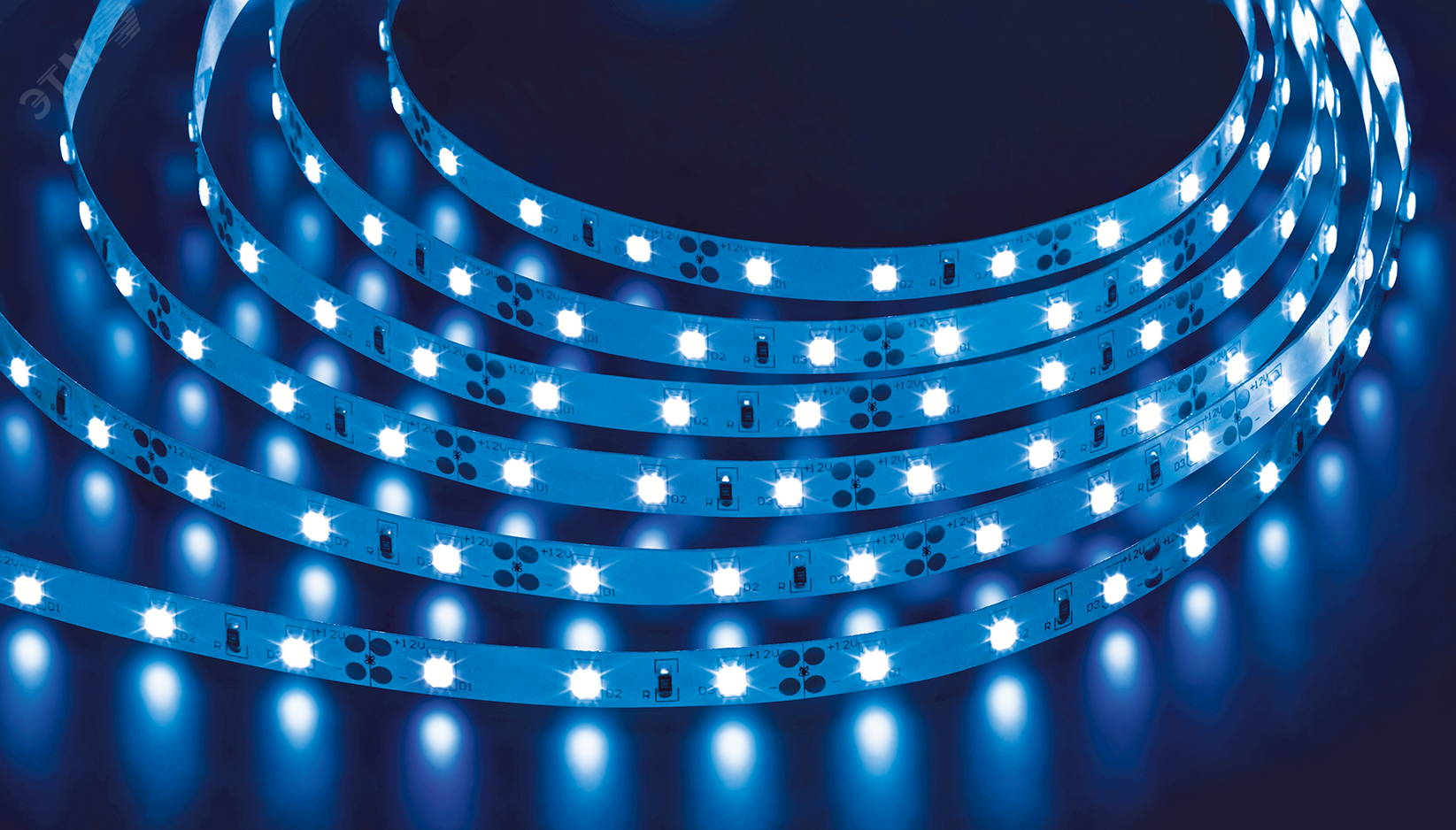 Изображение товара Светодиодная лента Navigator NLS 4.8Вт/м 12В синяя IP20 5м