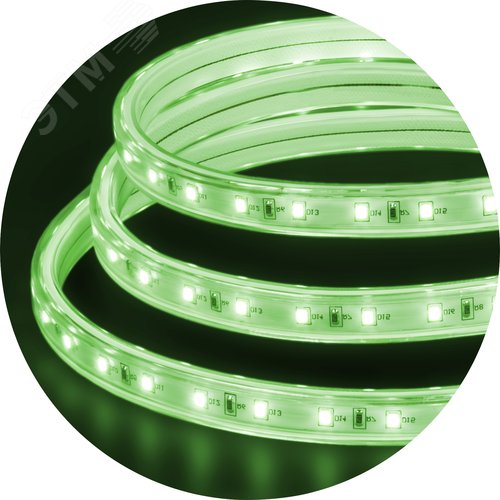 Лента светодиодная 4.8Вт/м 220В зеленый IP67 60LED/м NLS-3528 20м - фото 2