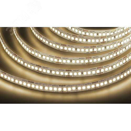 Изображение товара Лента светодиодная 18Вт/м 24В 3000К IP20 240LED/м NLS-2835 5м (шт)