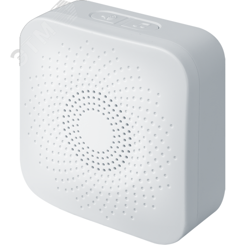 Звонок беспроводной NDB-D-DC09-B-WН - фото 2