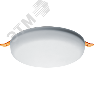 Светильник светодиодный ДВО-24w NLP-R2-24W-865-LED - фото 2