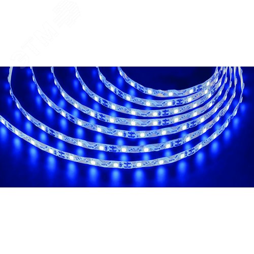 Лента светодиодная 6Вт/м 12В синий IP20 72LED/м NLS-2835 5м - фото 1
