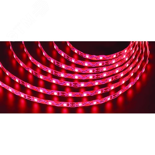 Лента светодиодная 6Вт/м 12В красный IP20 72LED/м NLS-2835 5м - фото 1