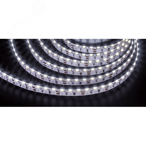 Лента светодиодная 8Вт/м 12В 6000К IP20 120LED/м NLS-335 5м - фото 1
