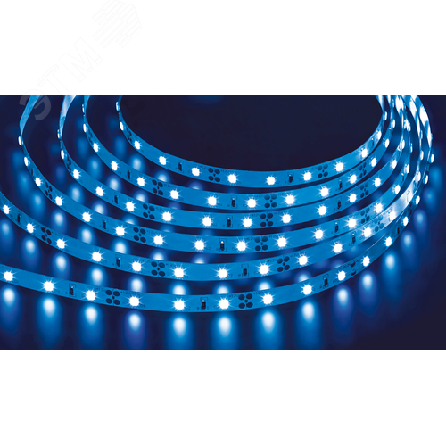 Лента светодиодная 4.8Вт/м 12В синий IP20 60LED/м NLS-3528 5м - фото 1