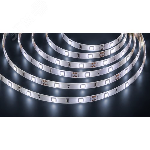 Изображение товара Лента светодиодная 7.2Вт/м 12В 6500К IP65 30LED/м NLS-5050-Pro 5м (м)