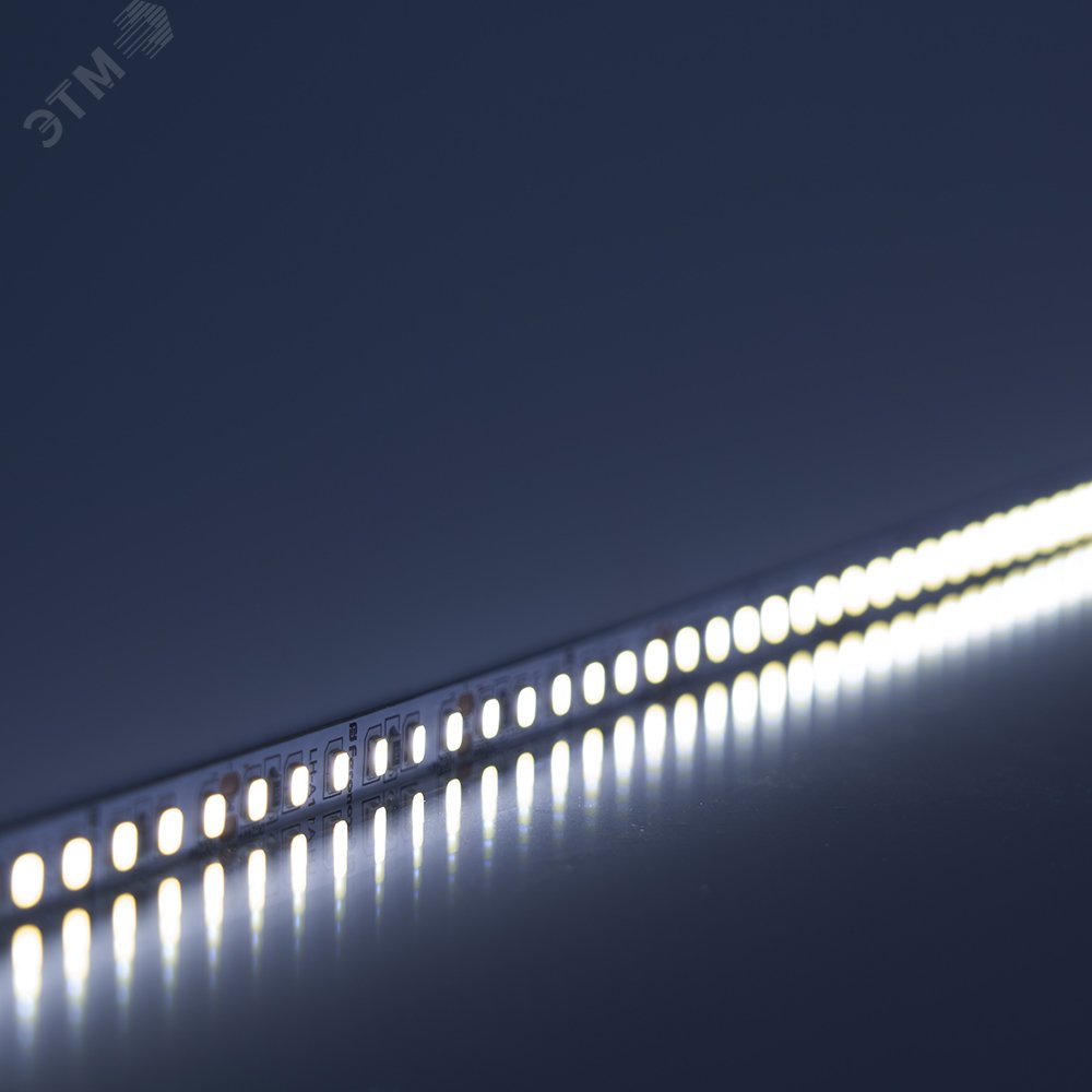 Лента светодиодная LEDх120/м 5м 11w/m 24в дневной LS501 FERON - превью