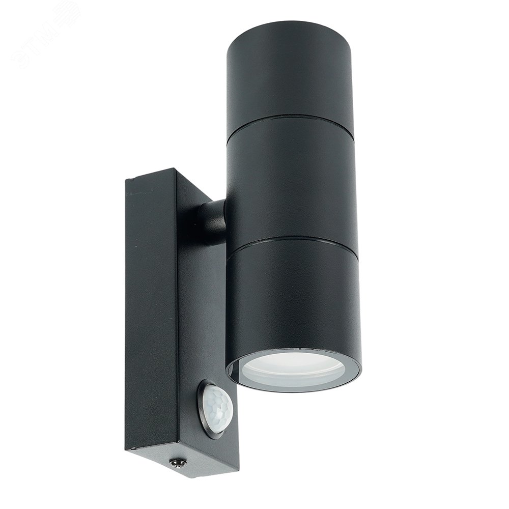 Изображение товара Светильник ДБУ 2xGU10 с датчиком IP65 черный Feron