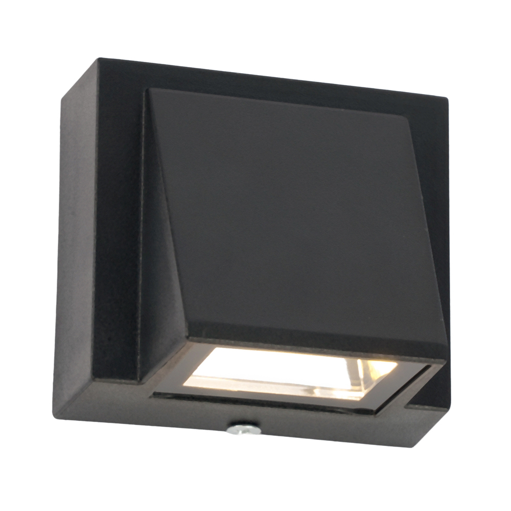 Светильник светодиодный уличный ДБУ-3w 4000К IP54 черный