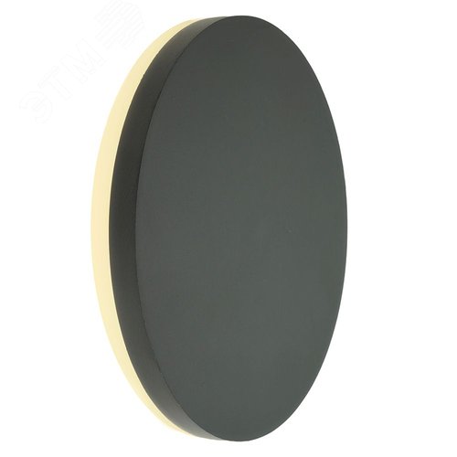 Светильник светодиодный уличный ДБУ-12w 4000К IP54 круглый черный - фото 2