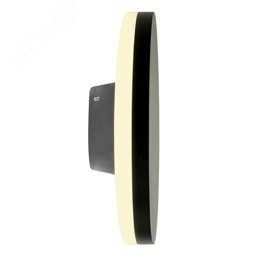 Светильник светодиодный уличный ДБУ-12w 4000К IP54 круглый черный - фото 3