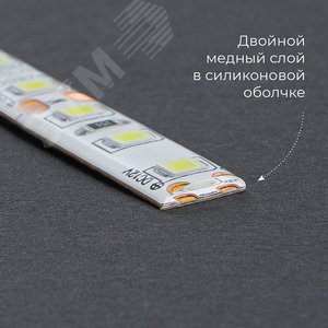 Лента светодиодная 9.6Вт/м 12В 6500К IP65 120LED/м LS613 - фото 3