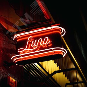 Лента светодиодная 9.6Вт/м 220В красный IP67 120LED/м LS720 неоновая - фото 4