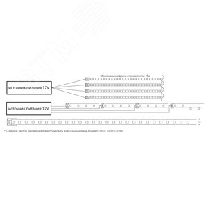 Лента светодиодная 14.4Вт/м 12В 4000К IP68 180LED/м LS651 неоновая - фото 5