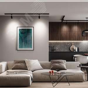 Светильник светодиодный трековый на шинопровод ДПО-20w 4000К 1800Лм трехфазный черный - фото 4