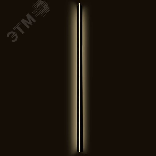 Светильник светодиодный уличный ДБУ-45w 3000К IP54 черный - фото 2