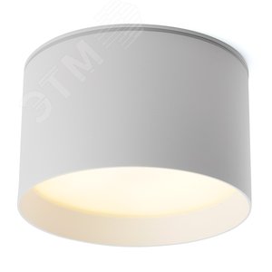 Светильник ДПО GX70 без лампы IP44 белый - фото 2