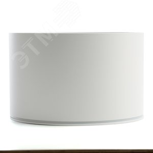 Светильник ДПО GX70 без лампы IP44 белый - фото 4