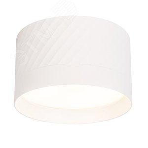 Светильник ДПО-25w GX70 без лампы белый - фото 2