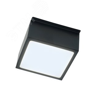 Светильник светодиодный ДВО-12w 6500К 960Лм черный Грильятто - фото 2