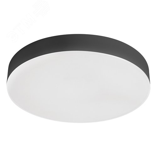 Светильник светодиодный ДПО-6w 4000K 480Лм черный IP44 - фото 1