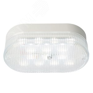 Светильник светодиодный ДБП-12w 4000К IP65 белый призма TR Овал - фото 4