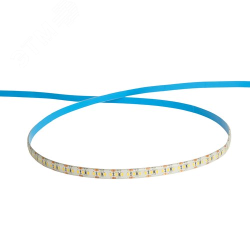 Лента светодиодная 17Вт/м 12В 6500К IP65 180LED/м LS626 - фото 2