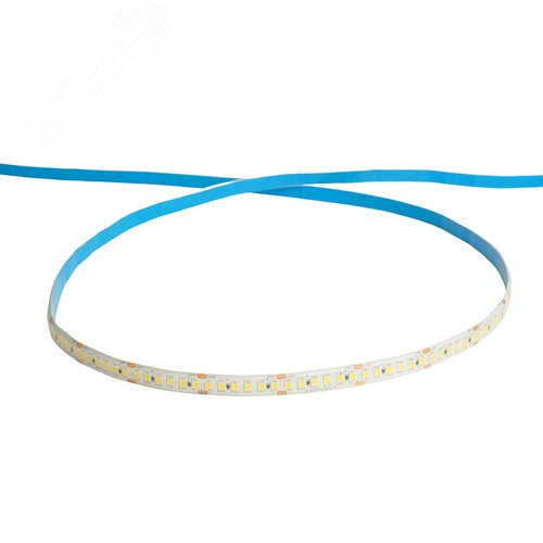 Лента светодиодная 16Вт/м 24В 6000К IP65 180LED/м LS512 - фото 2