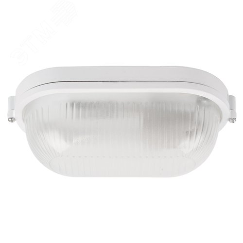 Светильник НБП 04-60-001 E27 овал алюминий стекло IP54 белый - фото 2