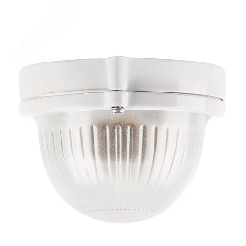 Светильник НБП 04-60-001 E27 овал алюминий стекло IP54 белый - фото 3