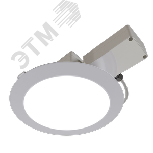 Светильник Radian NEW/Em/23/Д/850/03/220AC IP54 - фото 1