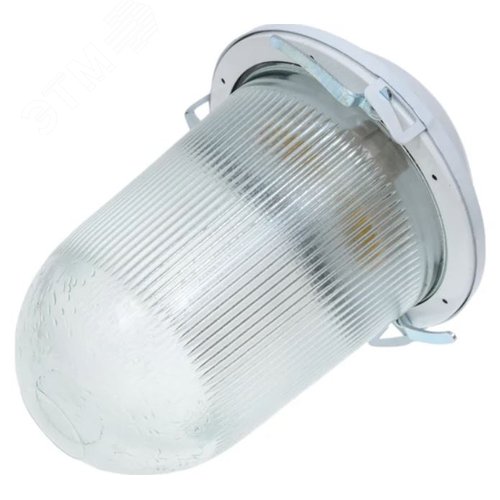 Изображение товара Светильник НСП-02-100-001 без решетки окрашенный IP52 (шт)